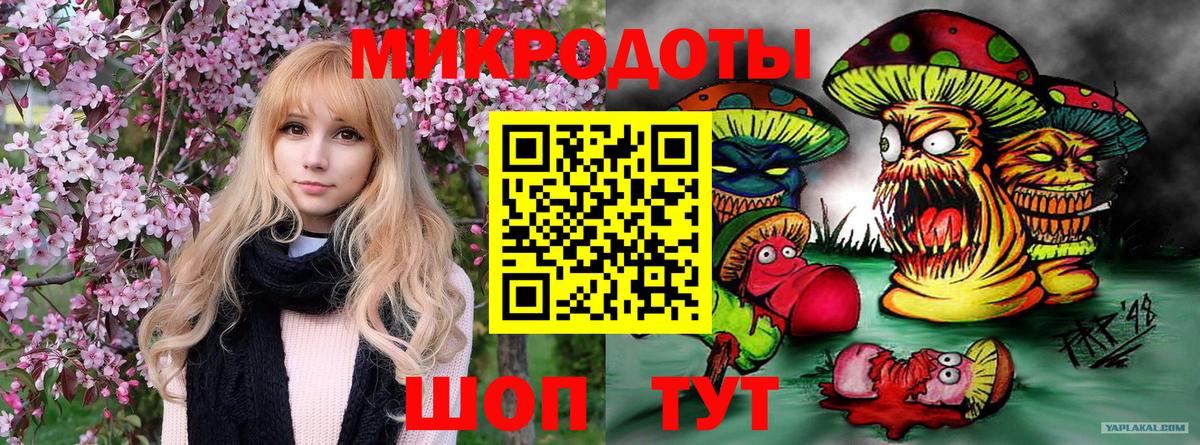 Галлюциногенные грибы MAGIC MUSHROOMS  где купить наркоту  Алексеевка  Вход с VPN 