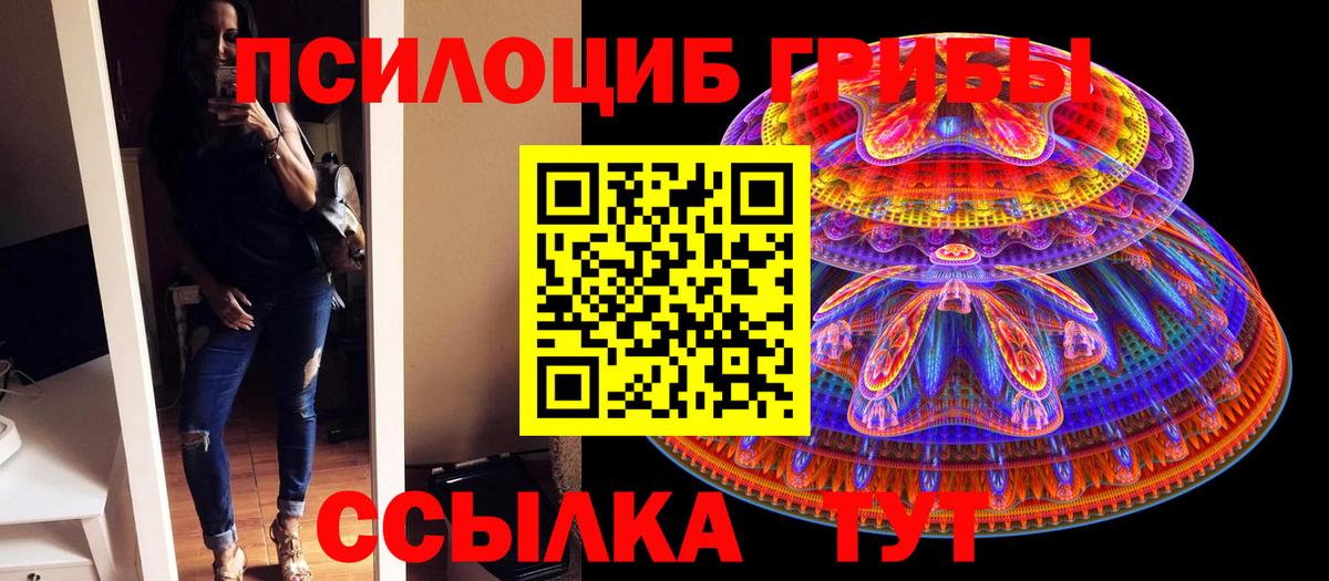 Псилоцибиновые грибы Cubensis Алексеевка
